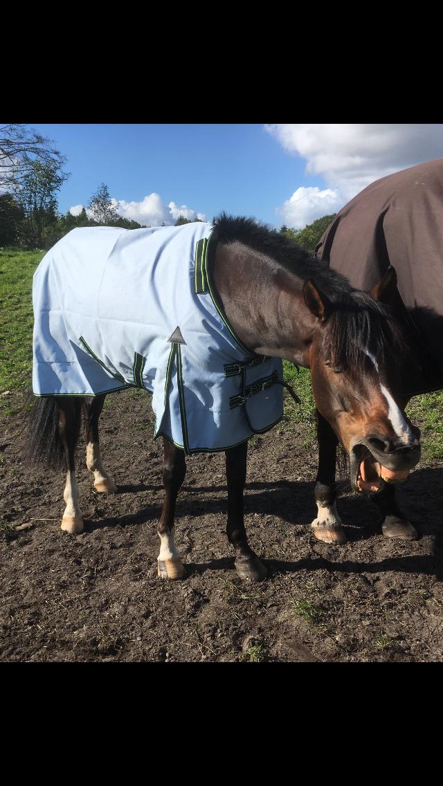 DSP Hesselbjerge's astonmartin - 🤪 billede 17