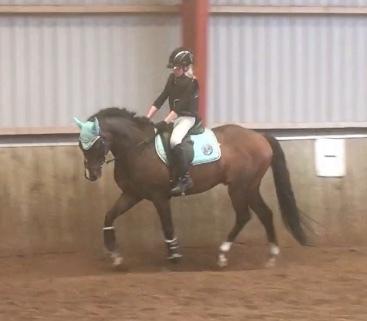 DSP Hesselbjerge's astonmartin billede 11