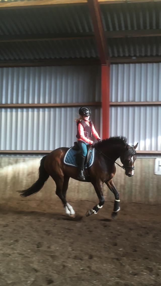 DSP Hesselbjerge's astonmartin billede 19