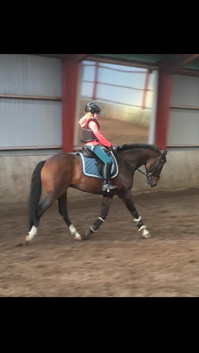 DSP Hesselbjerge's astonmartin billede 20