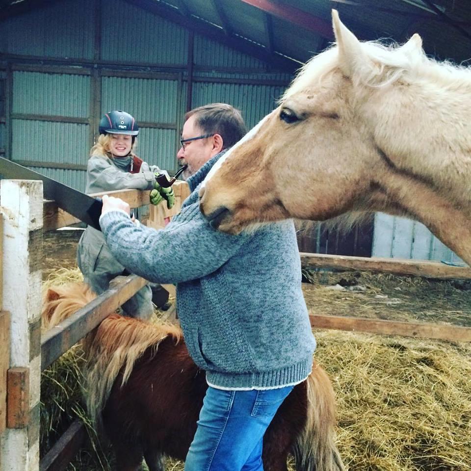 Palomino Golden Victory billede 2