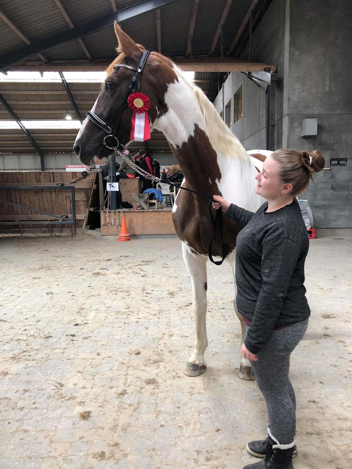 Pinto Whitney lightfoot billede 4