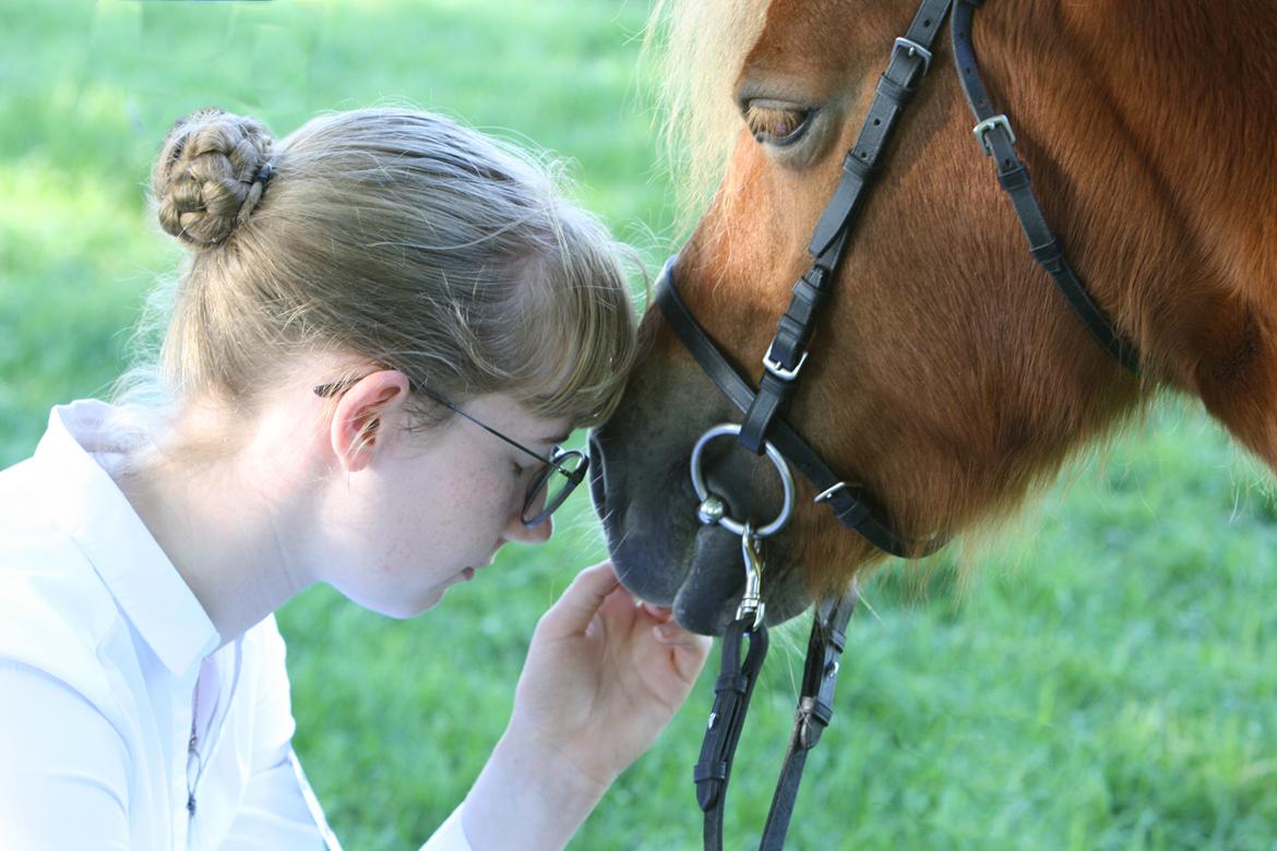 Shetlænder Bådsgårds Baronesse (Nesse) - Store Hestedag 2018. En lille pause, en kærlig stund <3. Hjertehest <3 billede 13