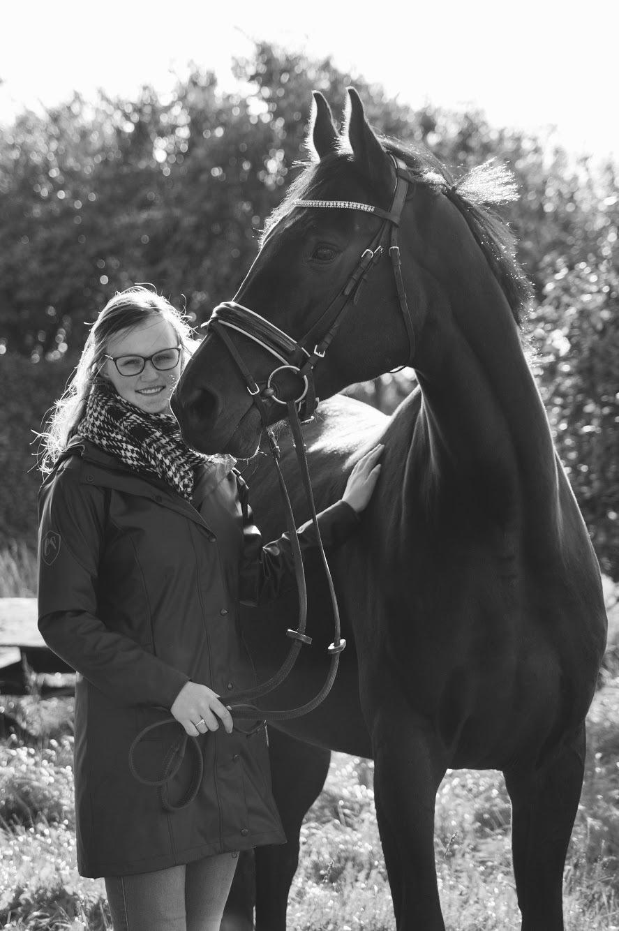 Dansk Varmblod Elversøes Chanel billede 19