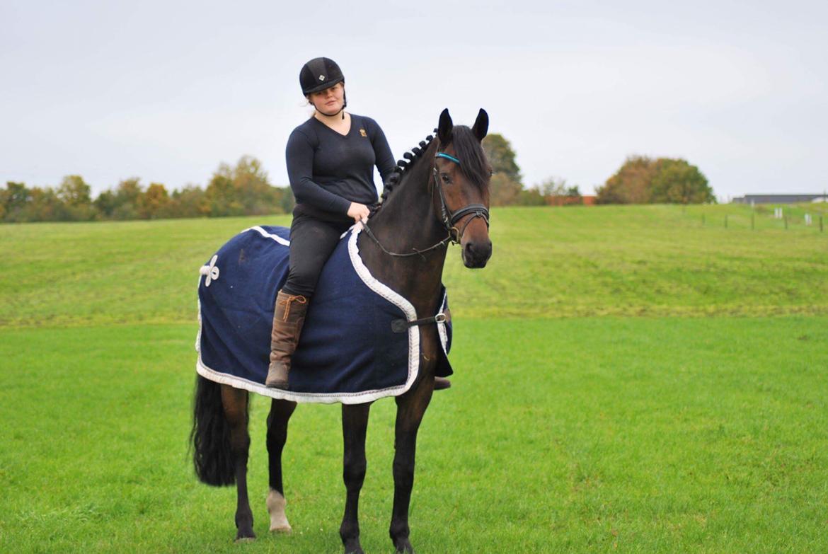Anden særlig race Østmarks Margrethe  billede 3
