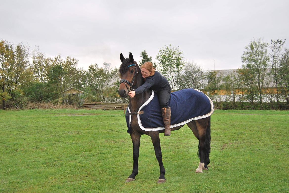 Anden særlig race Østmarks Margrethe  billede 4