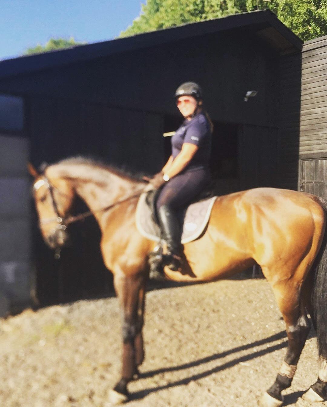 Holstener Corradino billede 5