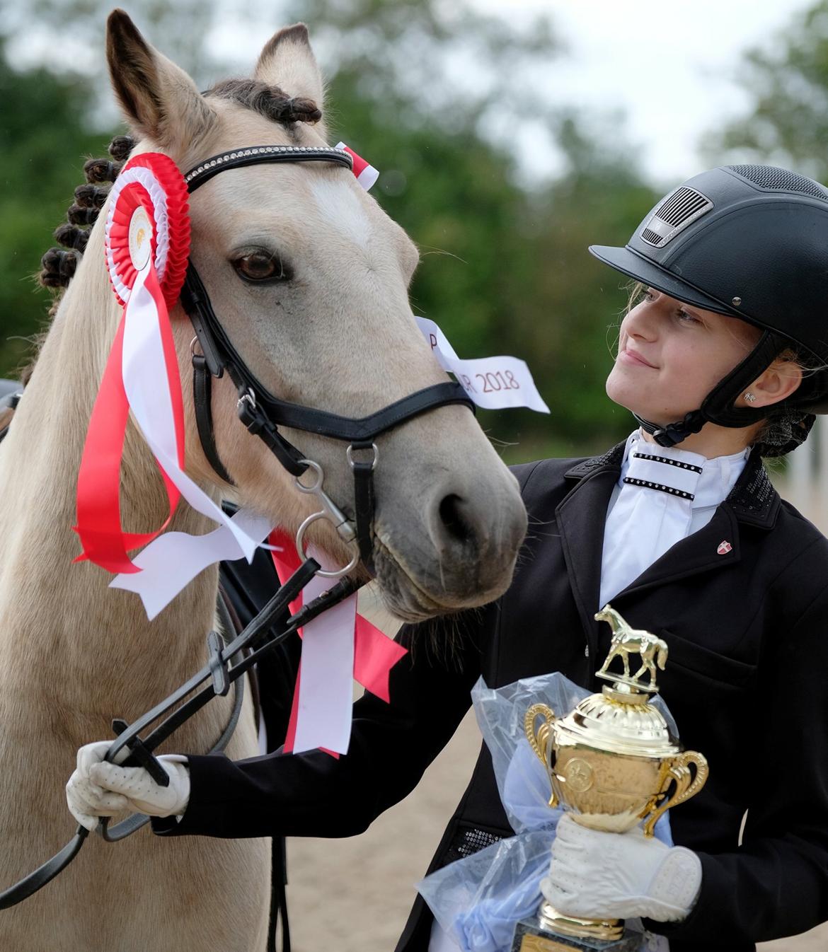 DSP Korreborg's chablis billede 7