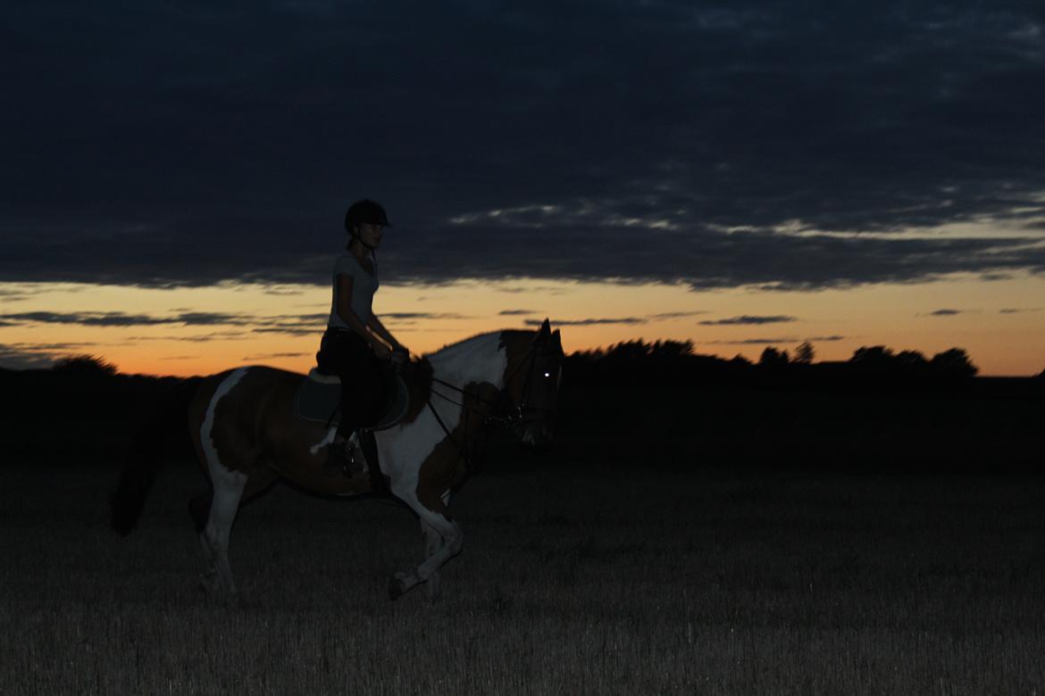 Anden særlig race Tulle Ørnhøj billede 7