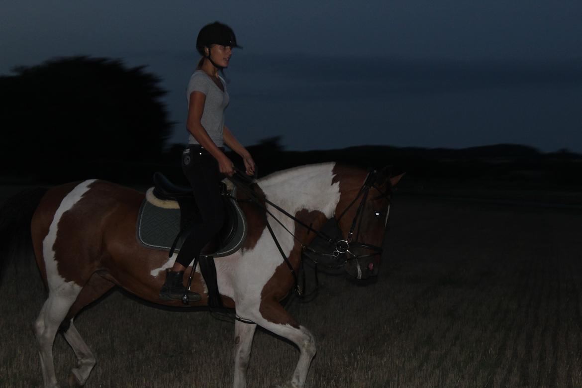 Anden særlig race Tulle Ørnhøj billede 8