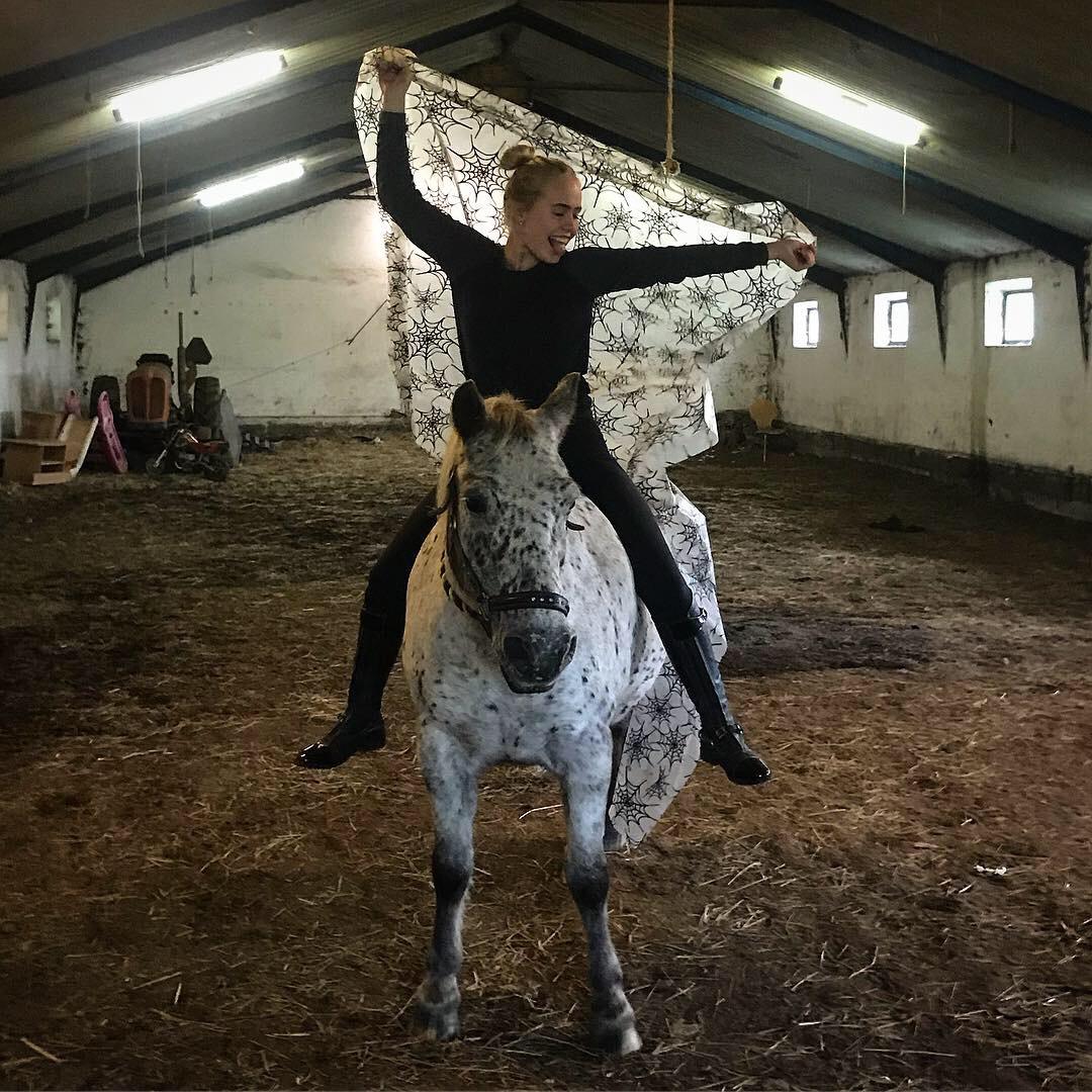 Knabstrupper løjt (my soulmate) billede 4