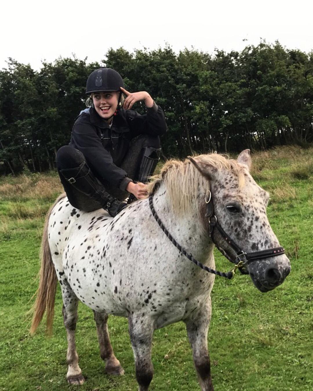 Knabstrupper løjt (my soulmate) billede 5