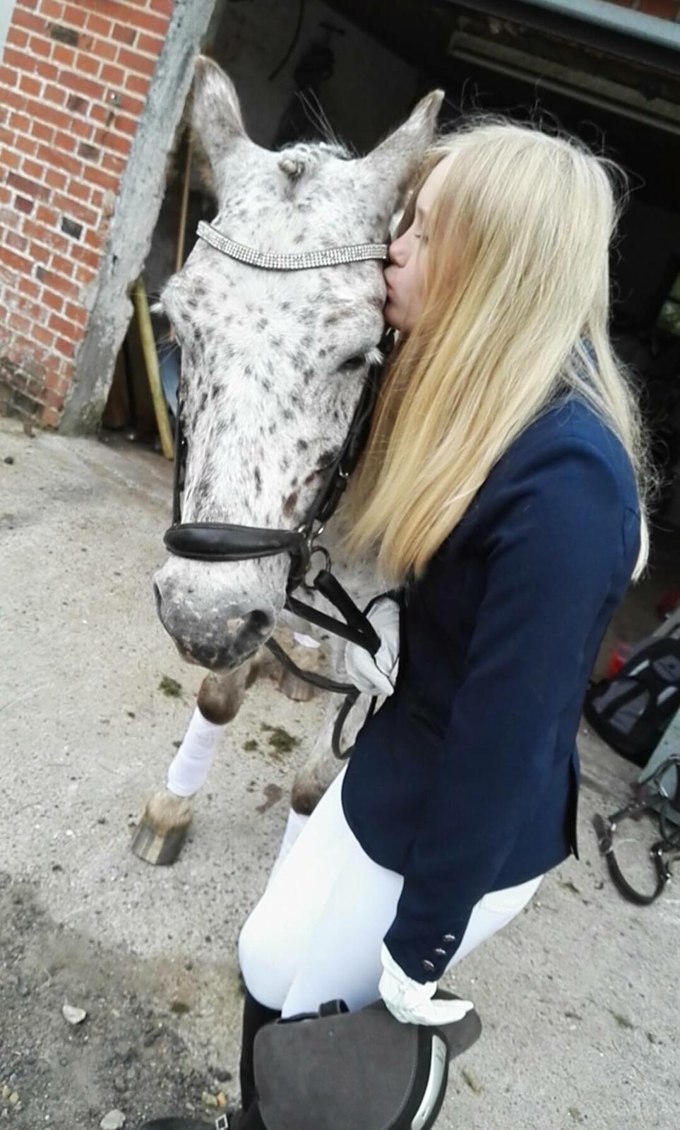 Knabstrupper løjt (my soulmate) billede 8