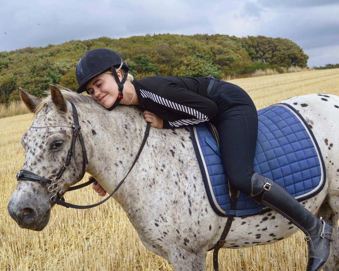 Knabstrupper løjt (my soulmate) billede 9