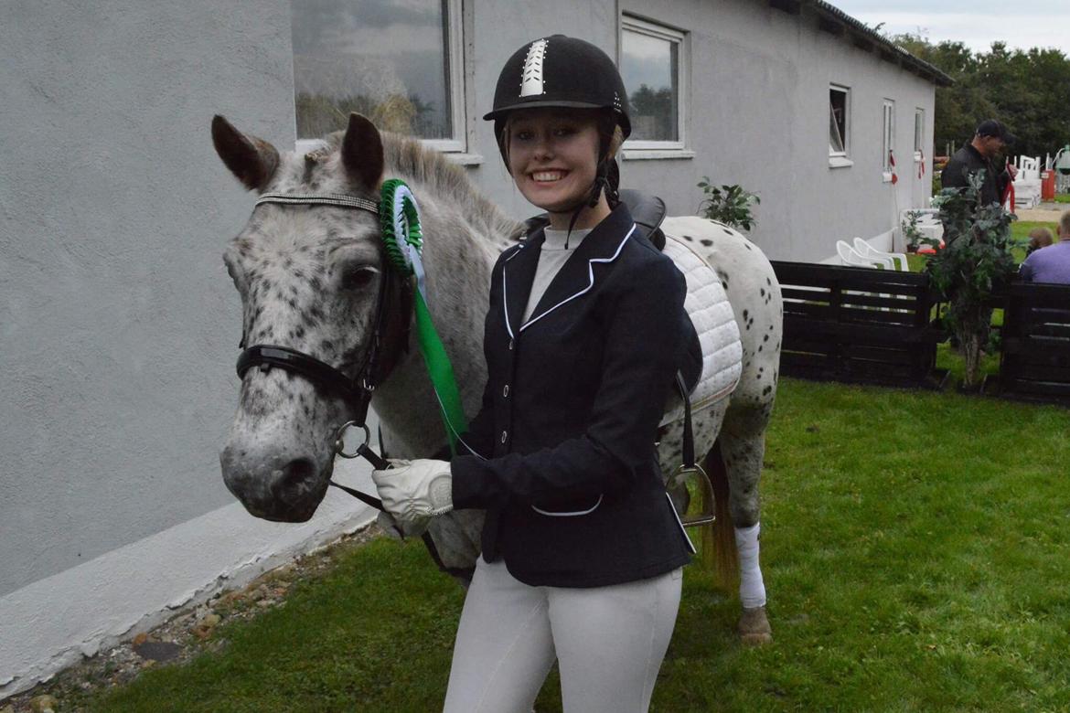 Knabstrupper løjt (my soulmate) billede 14