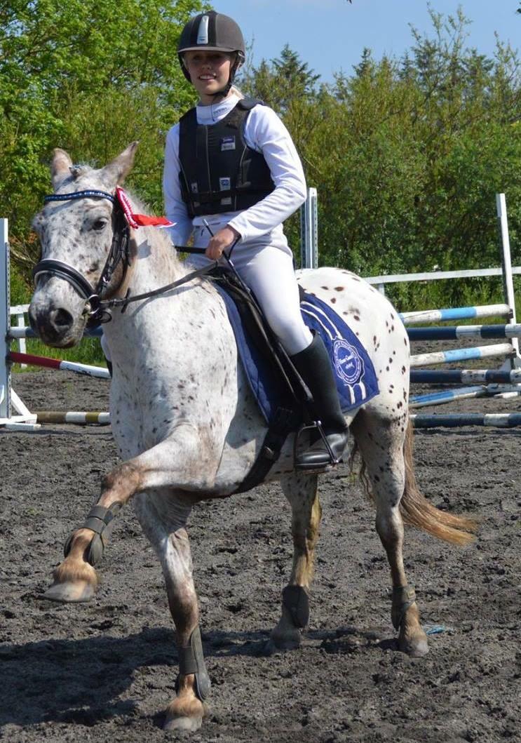 Knabstrupper løjt (my soulmate) billede 16