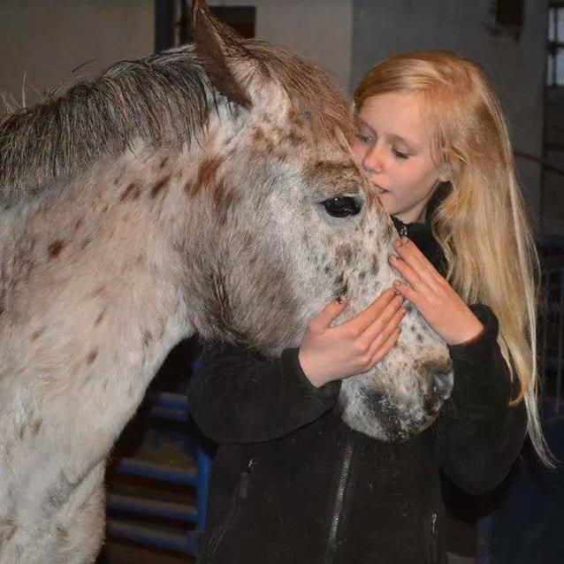 Knabstrupper løjt (my soulmate) billede 17