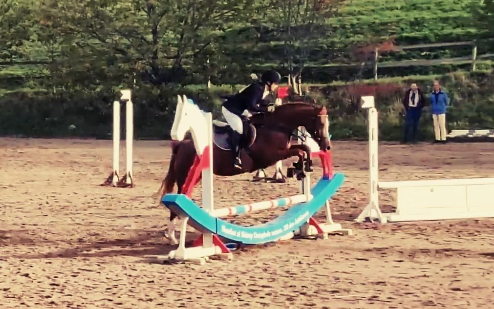 Arabisk fuldblod (OX) Ivalina Wind -  13 oktober 2018, første ridebanespringning til 1/2 military på Skårup Overgård  billede 17
