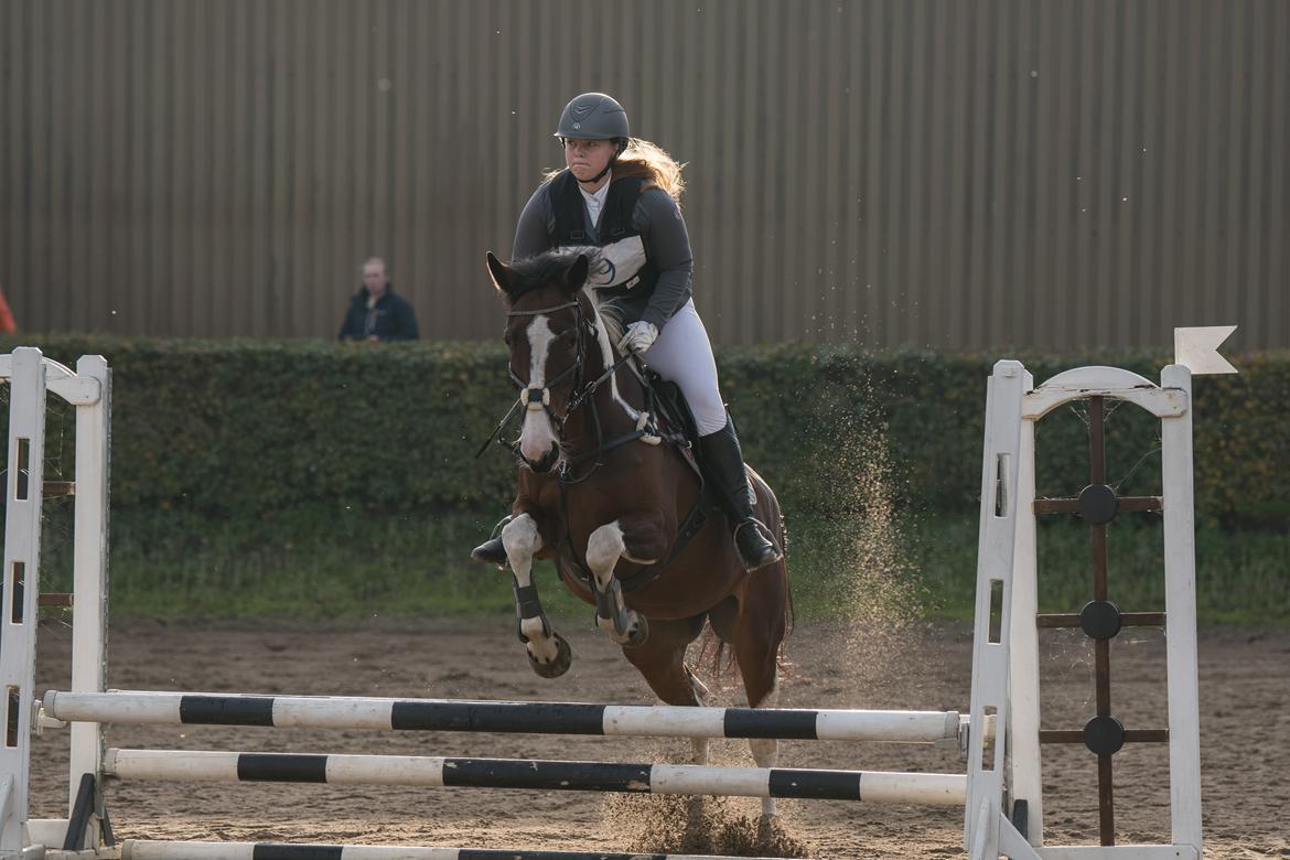 Pinto Elmegårdens Prada - Skårup Overgård ½military d. 13/10-18 CNC60 billede 1