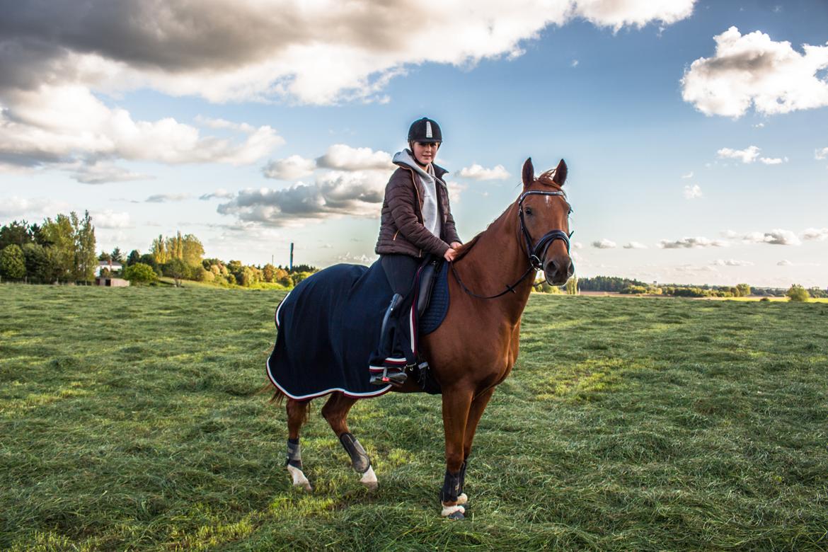 Anden særlig race Simon billede 4