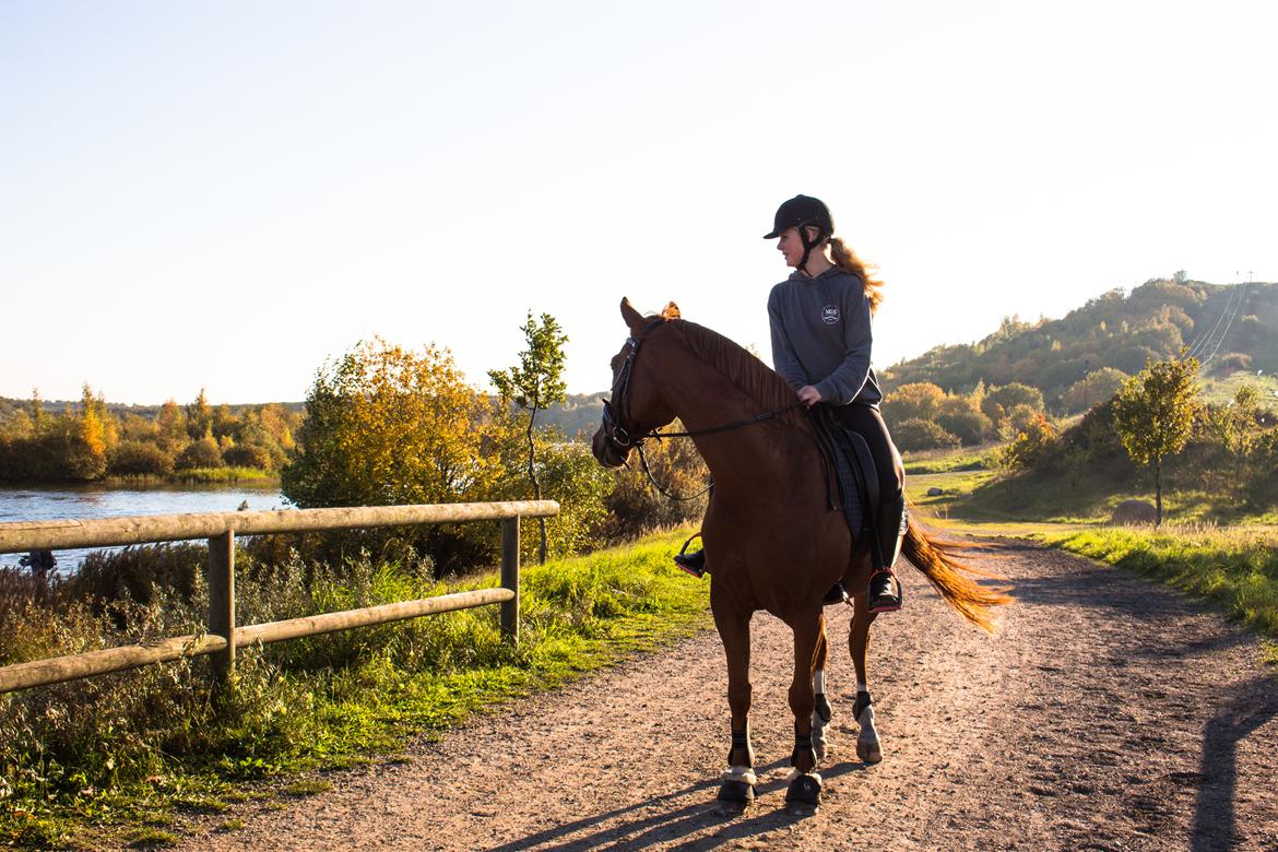Anden særlig race Simon billede 7