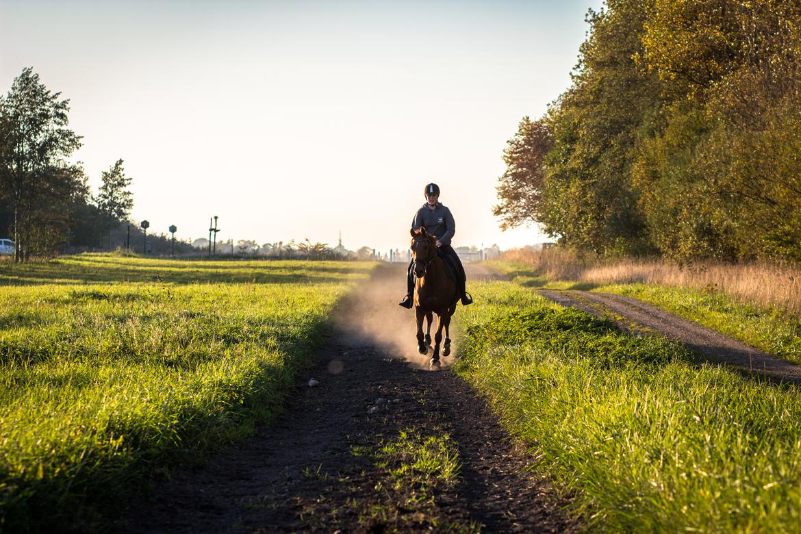 Anden særlig race Simon billede 9