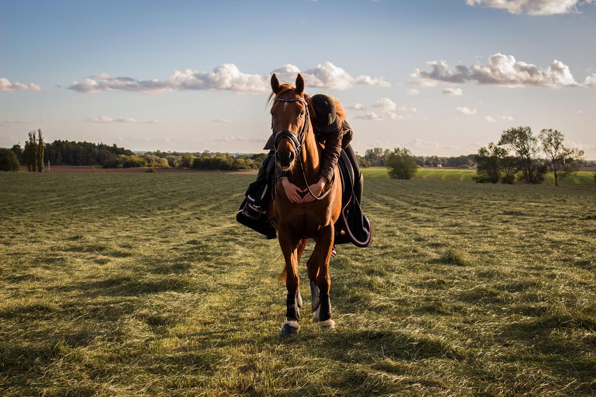 Anden særlig race Simon billede 1