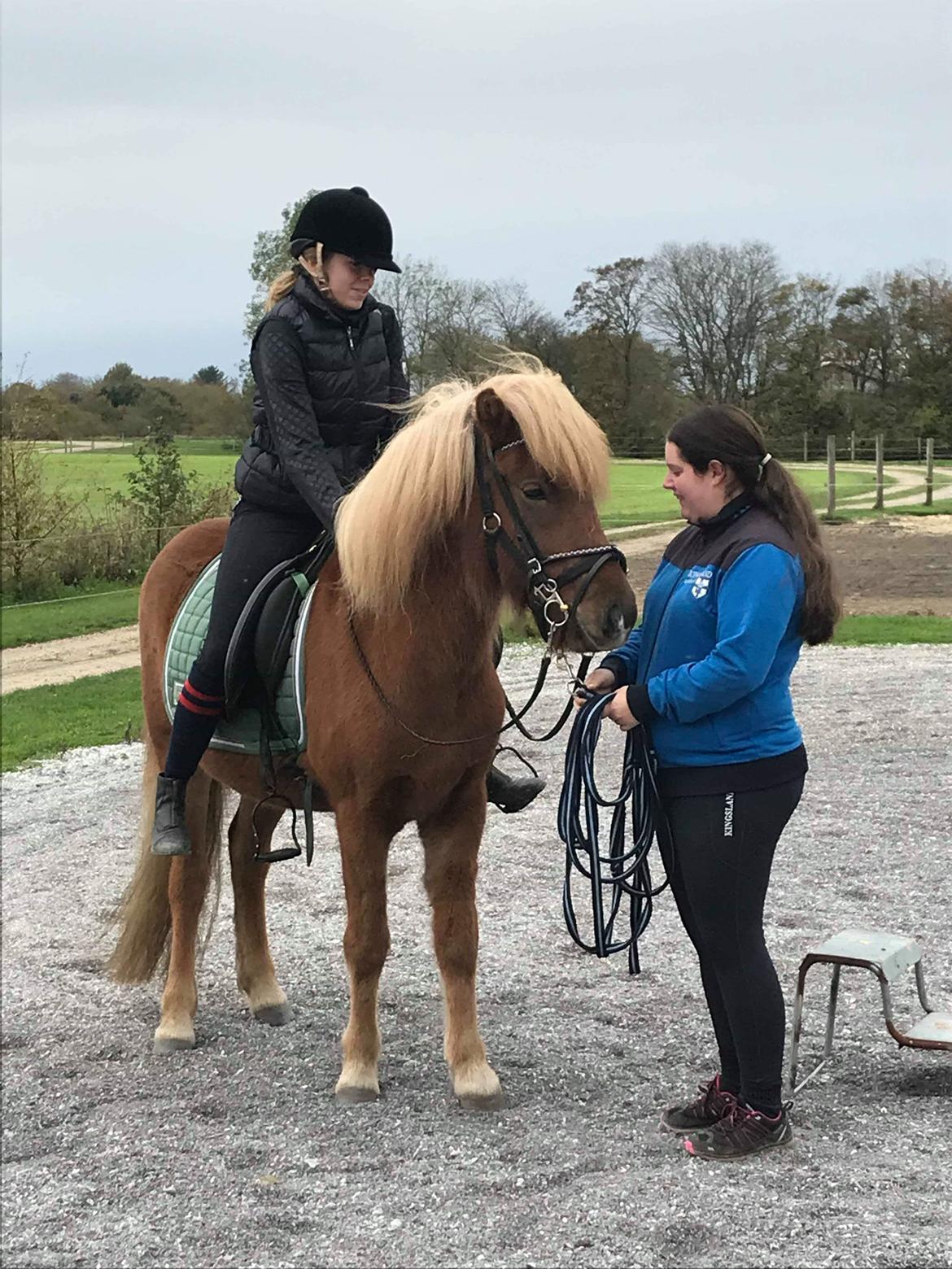 Islænder Gjöf fra Østervang billede 34