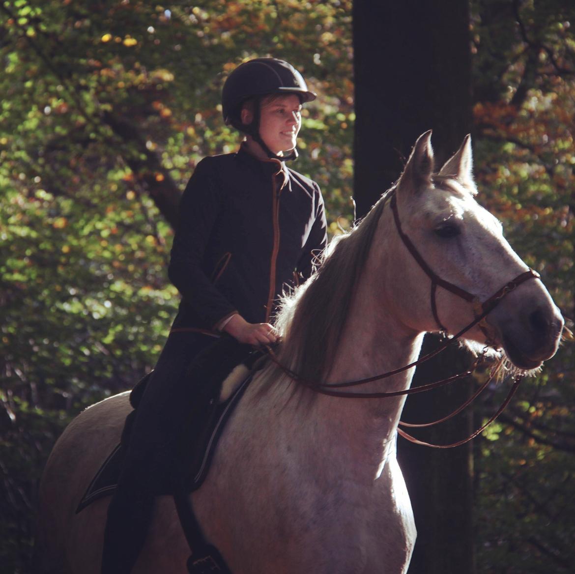 Anden særlig race Sunshine billede 15