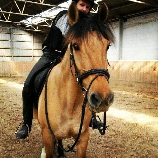 Anden særlig race Flame billede 11