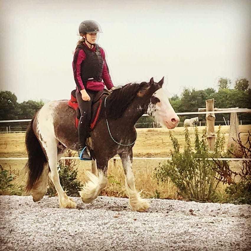 Tinker Buster billede 1