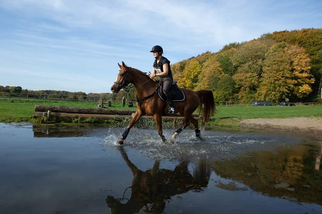 Arabisk fuldblod (OX) Ivalina Wind - d 13 oktober 2018 Skårup Overgård military. foto jimmy leen  billede 12