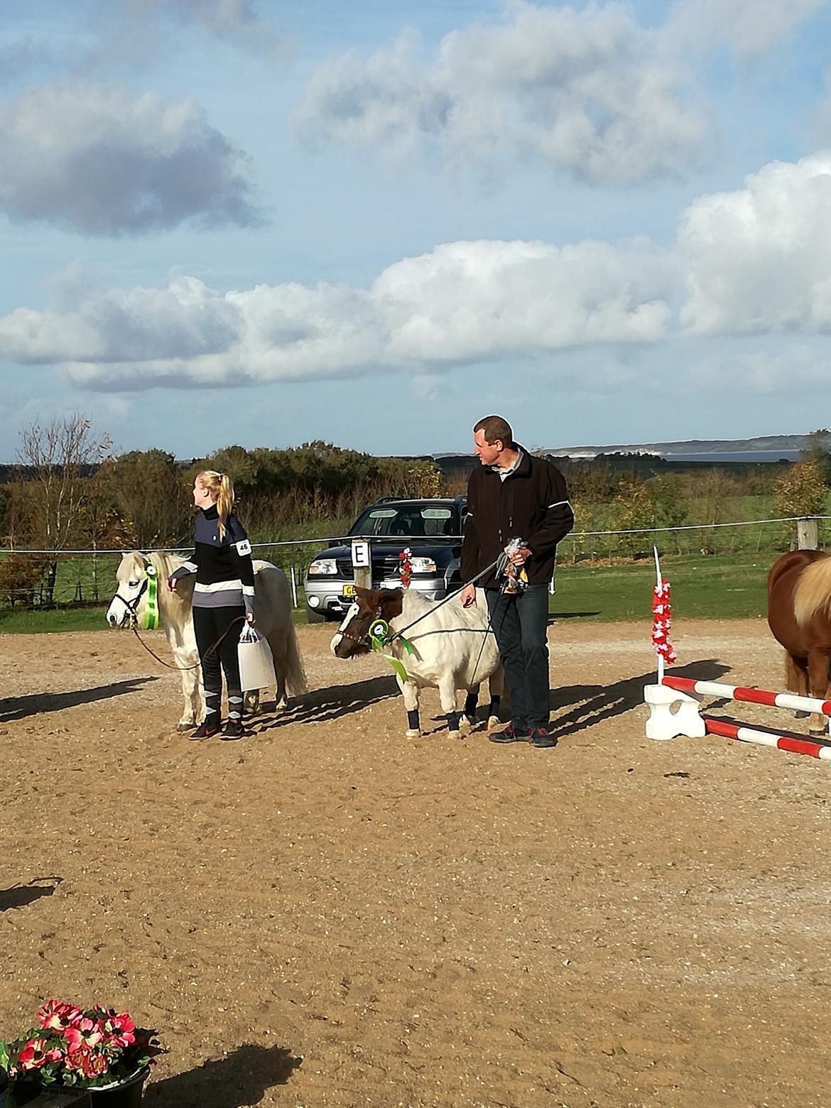 Miniature Pepsi - shetlænder stævne 21-10 2018 billede 17