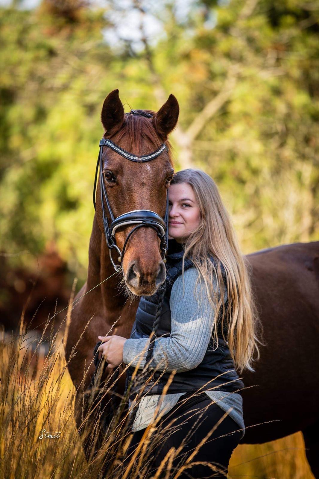 Dansk Varmblod Bona's Fair Lucca - 3 dage før vi sagde farvel... <3      22 oktober 2018 billede 1