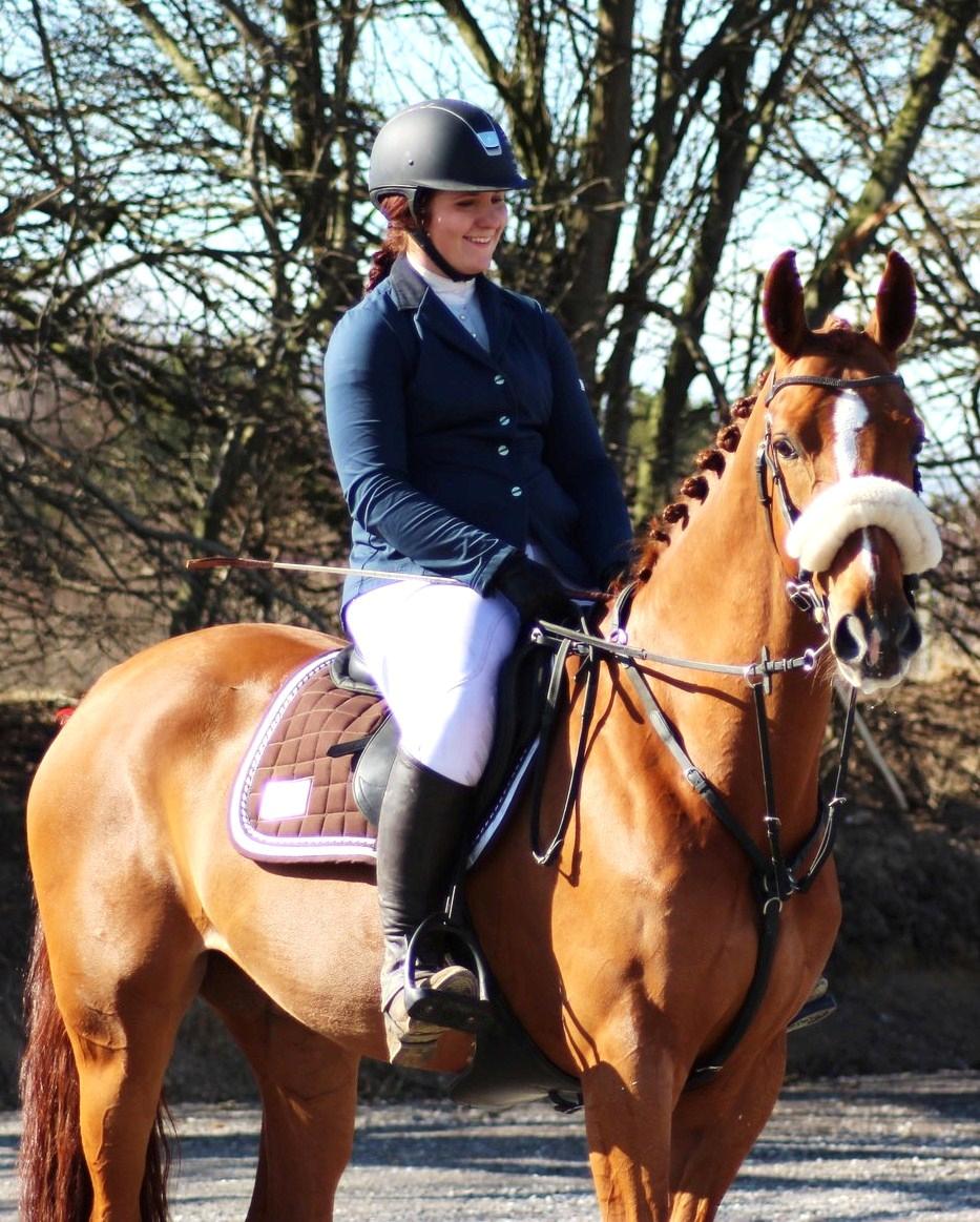 Dansk Varmblod Fiona billede 1