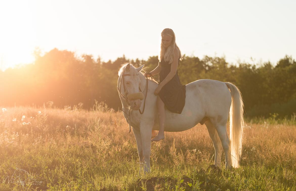 Anden særlig race Peter Plys - Sommer 2018 - Foto: Maiken Bang Photography billede 7