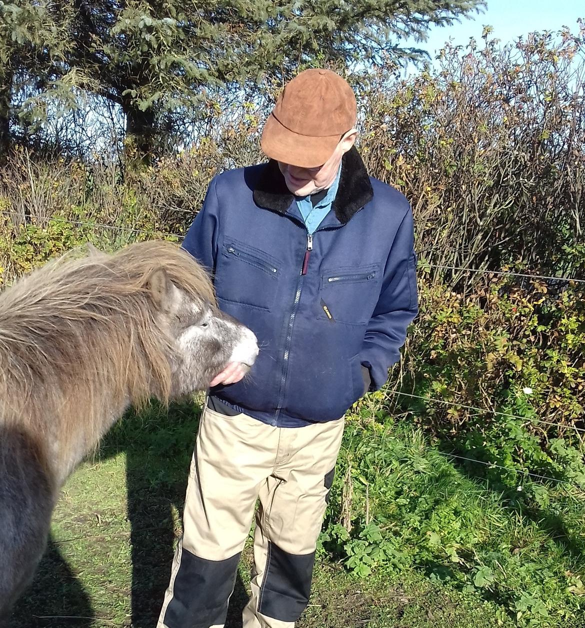 Knabstrupper Rughavens abby billede 21