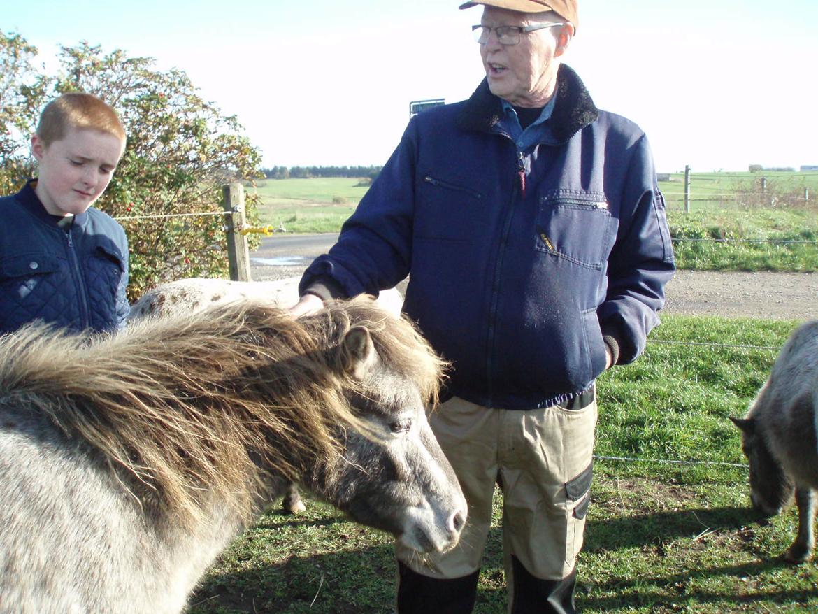 Knabstrupper Rughavens abby billede 24