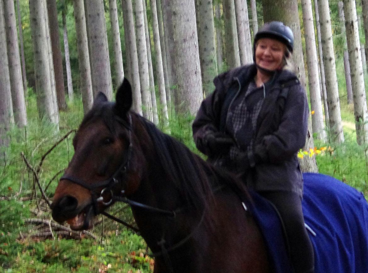 Traver Oasis Simoni billede 10