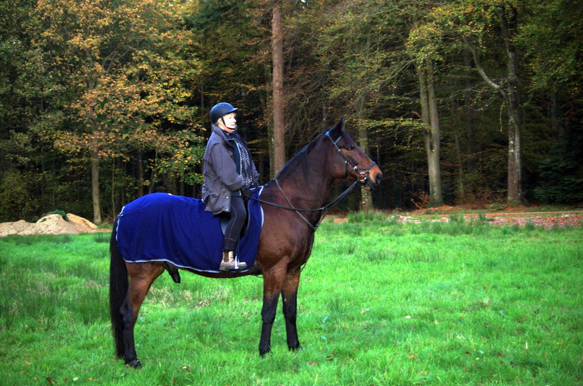 Traver Oasis Simoni billede 11