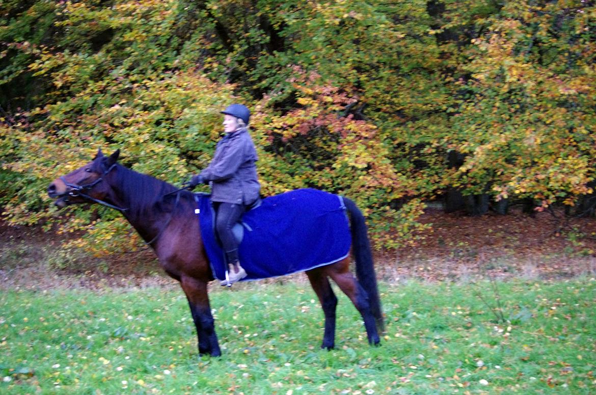 Traver Oasis Simoni billede 19