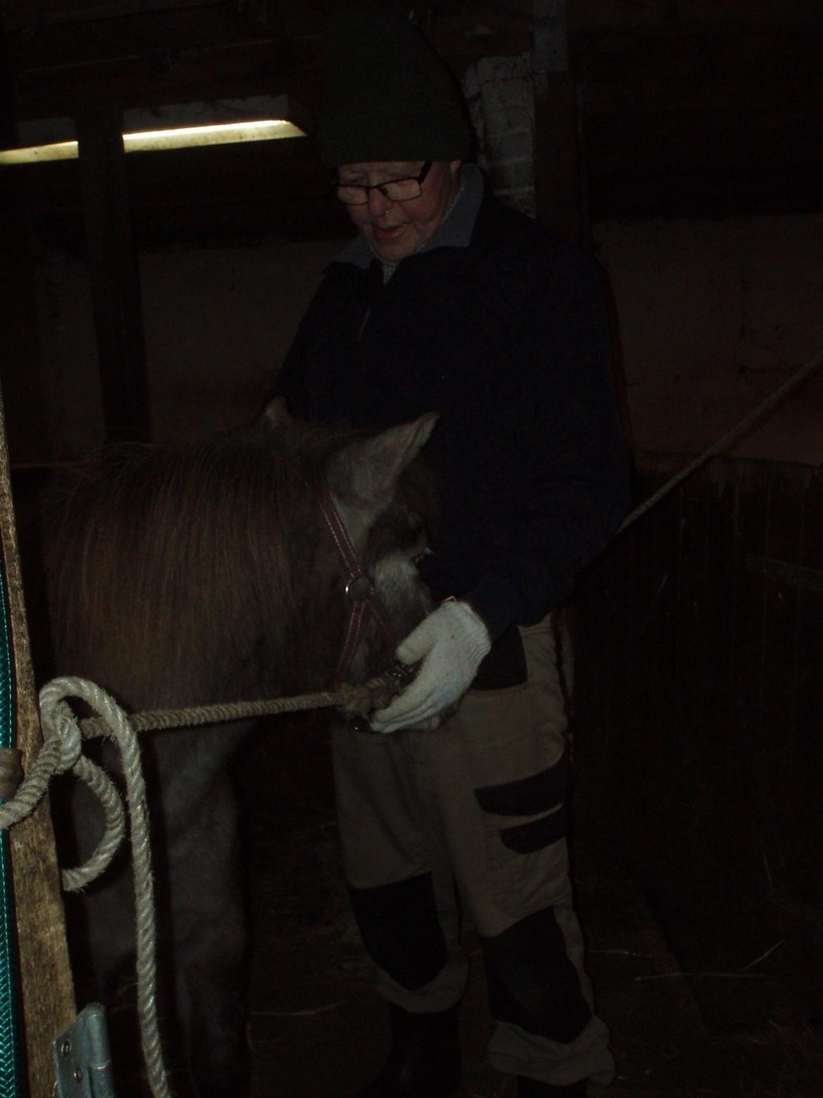 Knabstrupper Rughavens abby - Aften hygge (det glæder mit hjerte det her ) billede 12