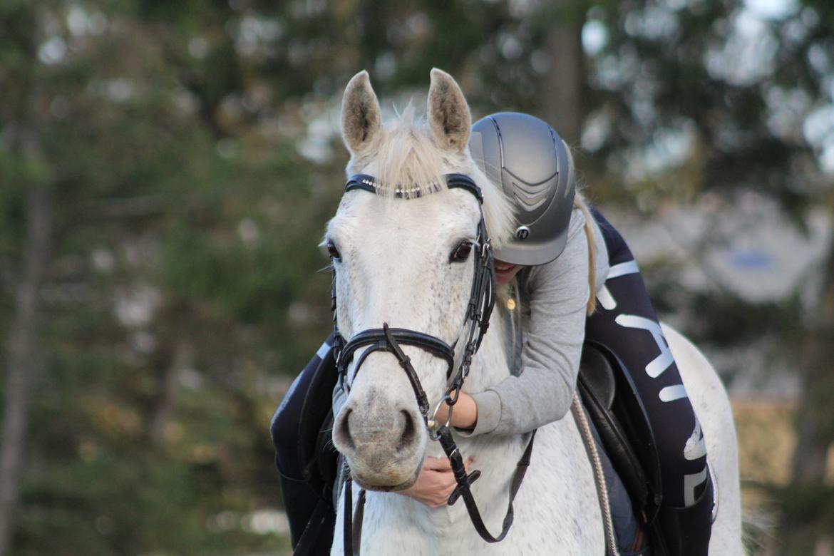 Anden særlig race Happy billede 17