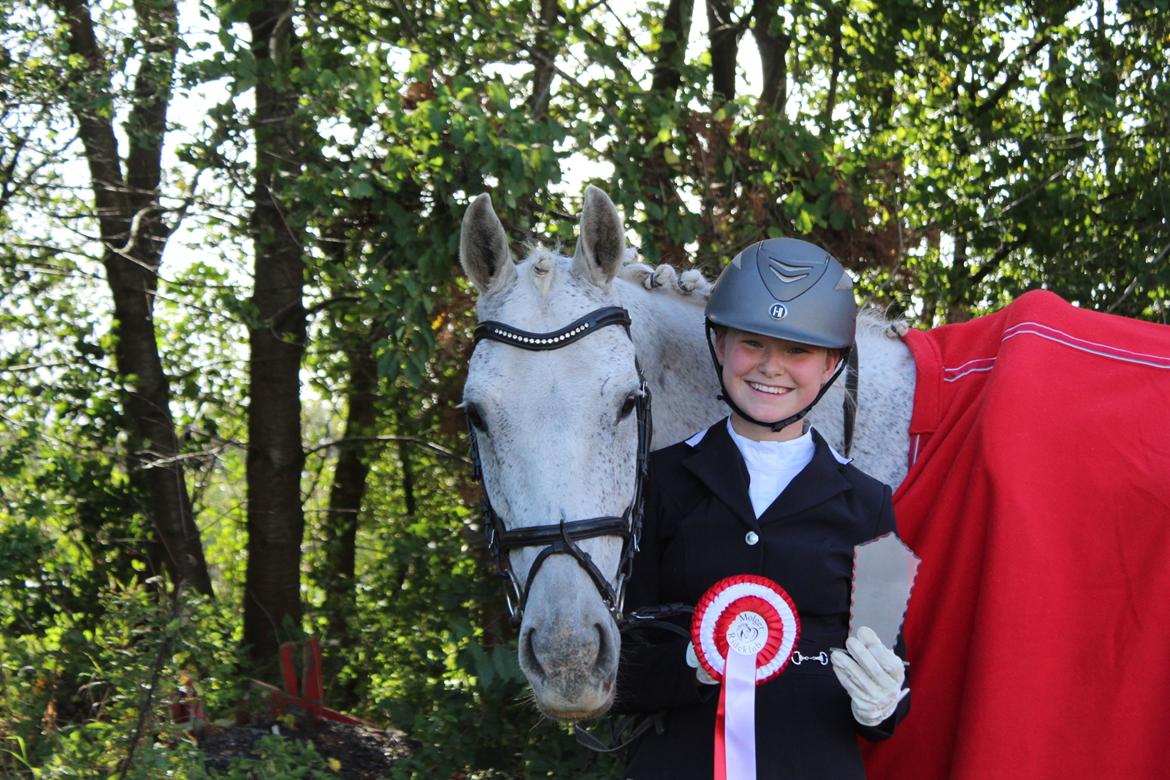 Anden særlig race Happy billede 19