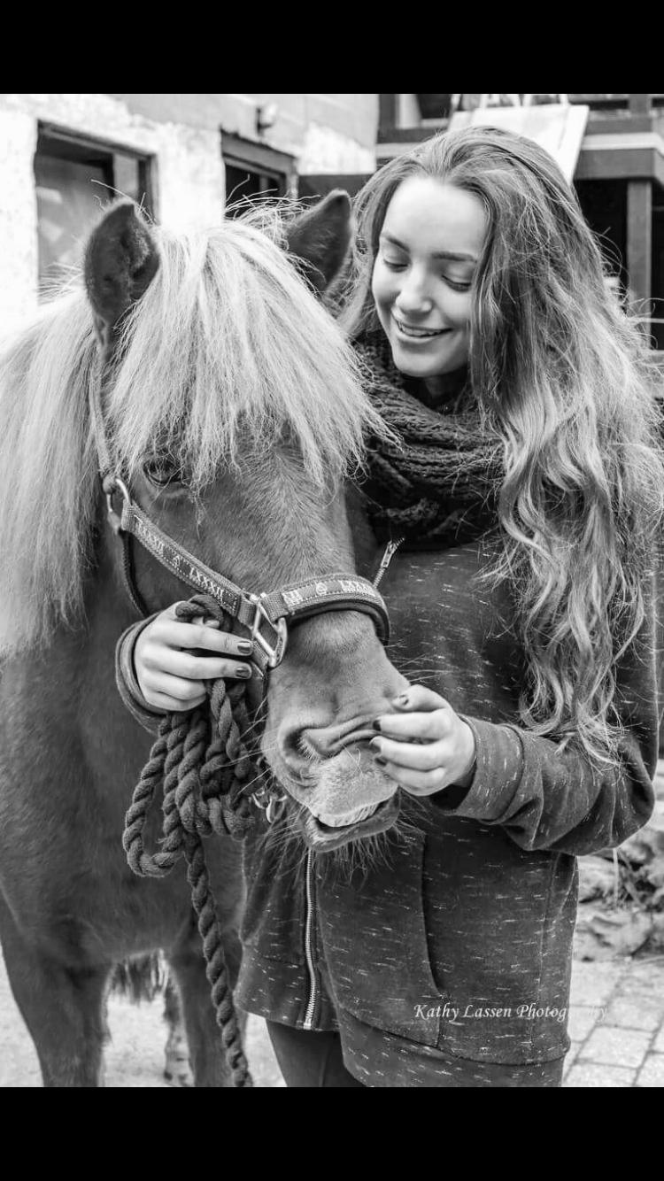 Islænder Dreki fra Hoelgaard billede 15