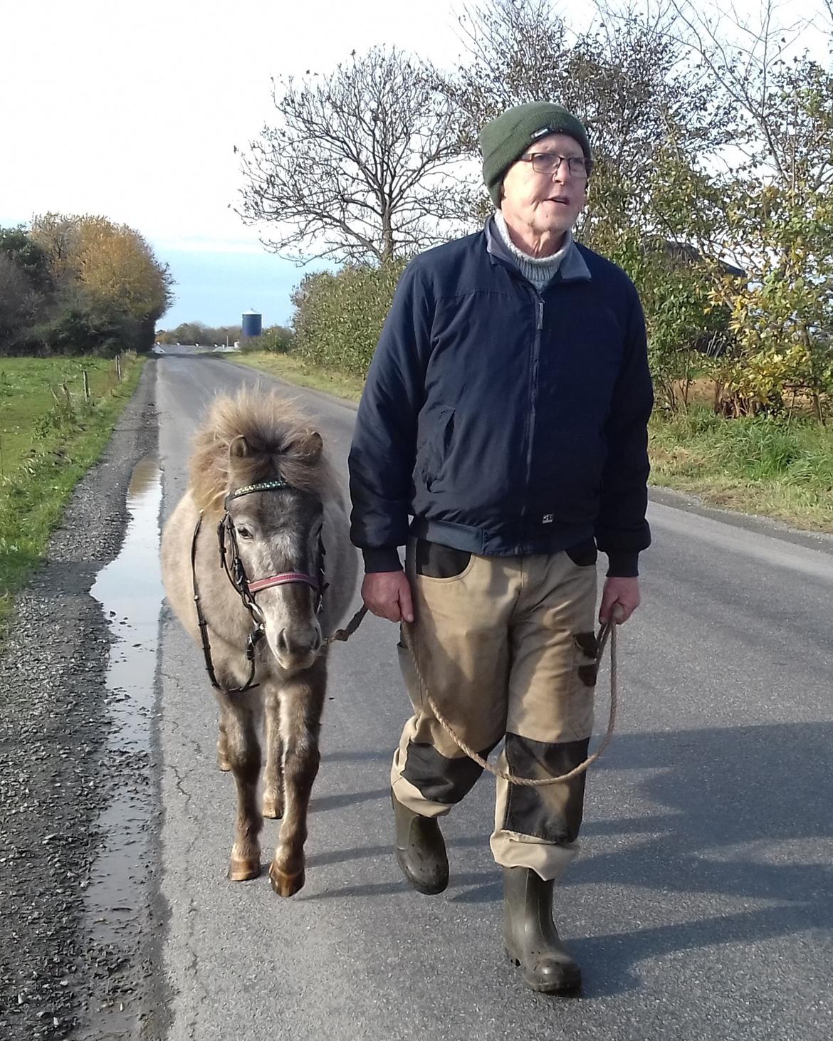 Knabstrupper Rughavens abby billede 17