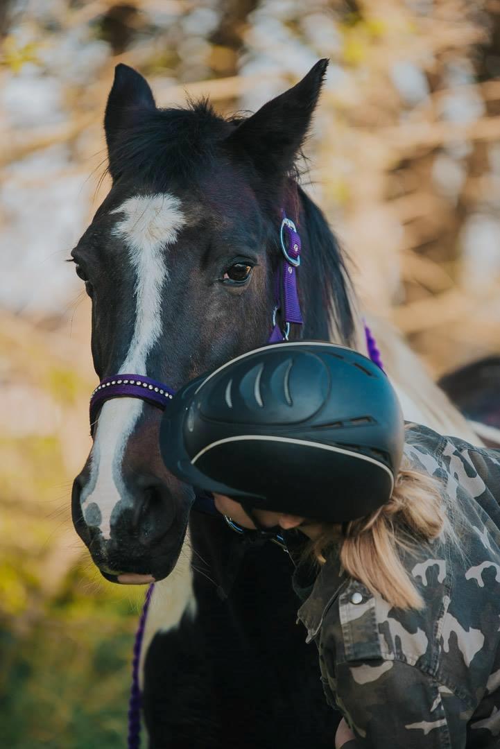 Pinto Pinte billede 1