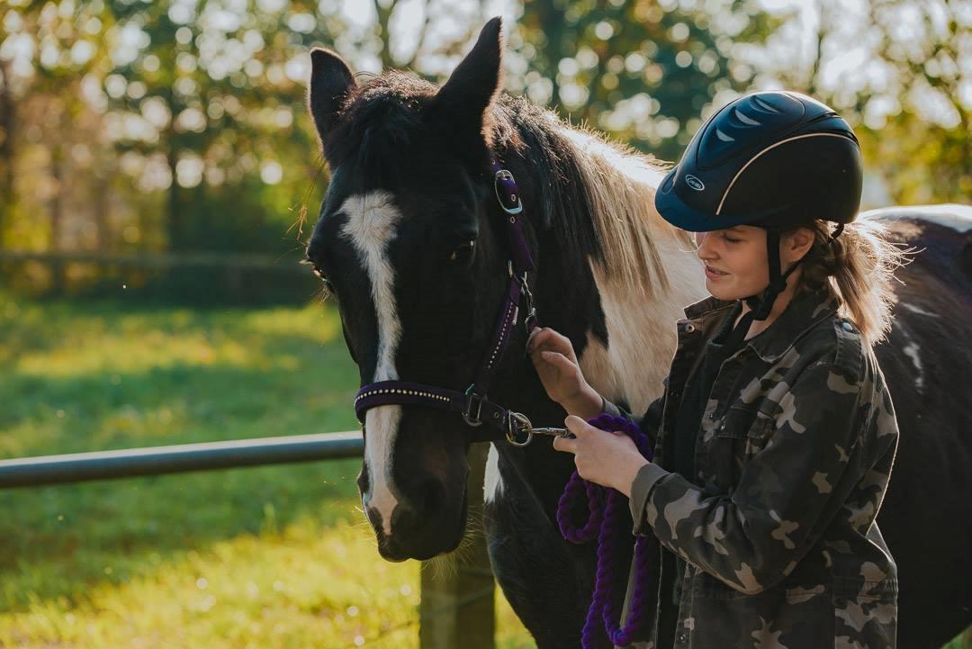 Pinto Pinte billede 2