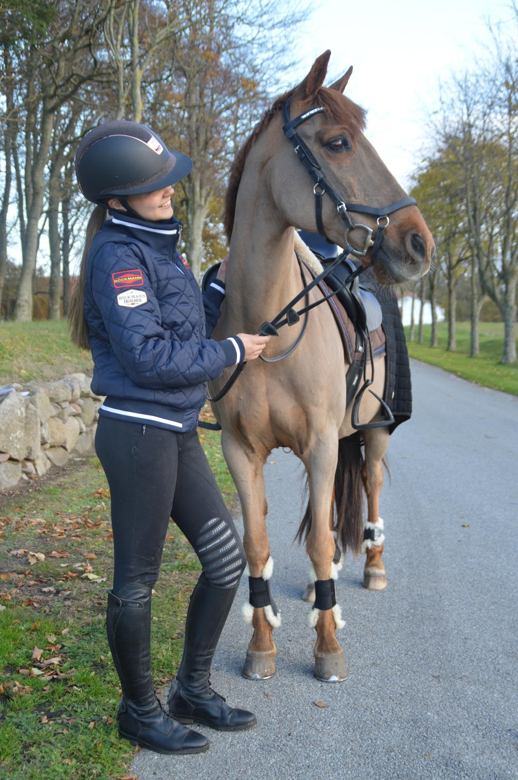 Svensk Sportspony  Casco <3 - 4. nov 2018.  billede 2