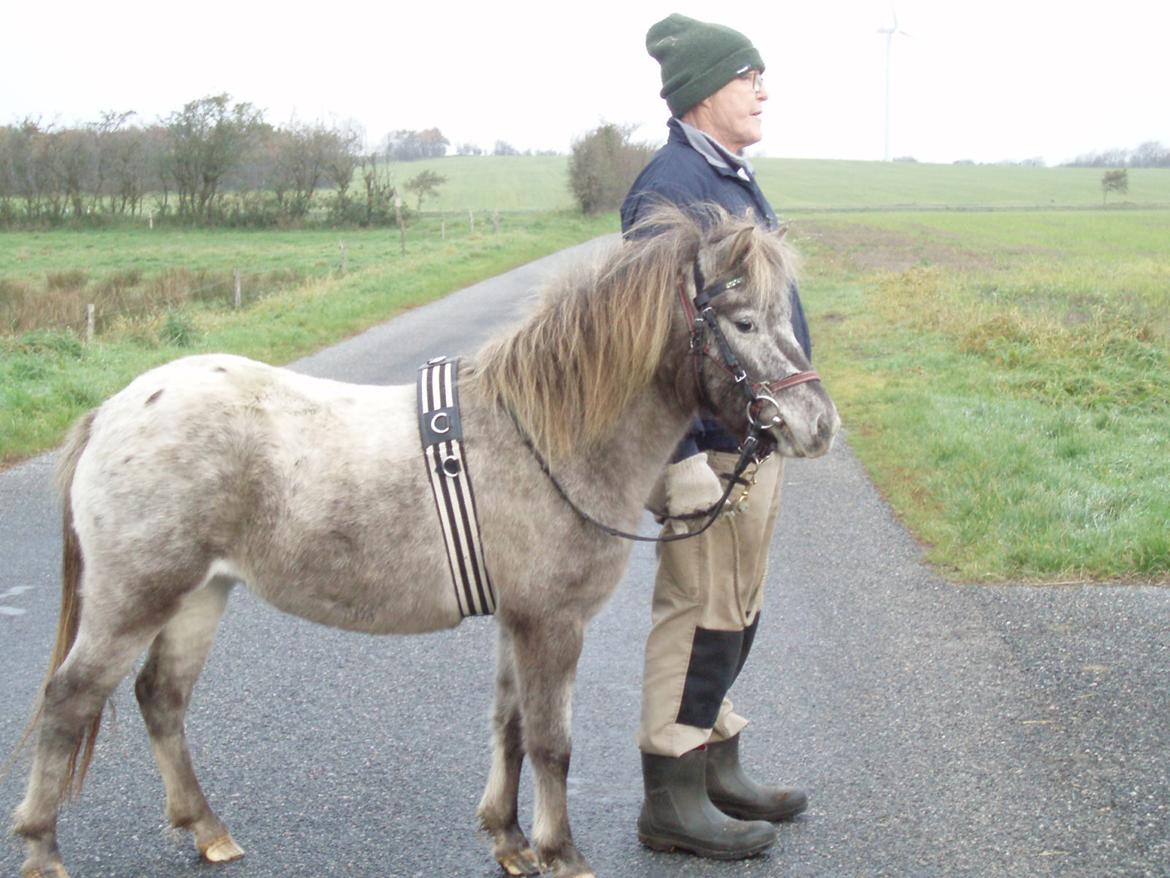 Knabstrupper Rughavens abby - Abby nede ved åen billede 14
